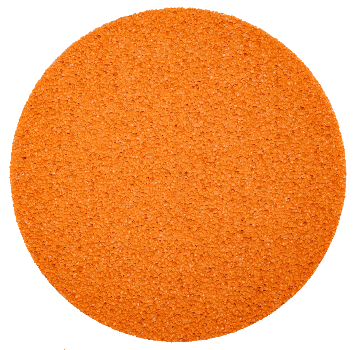 Sponge disc fine