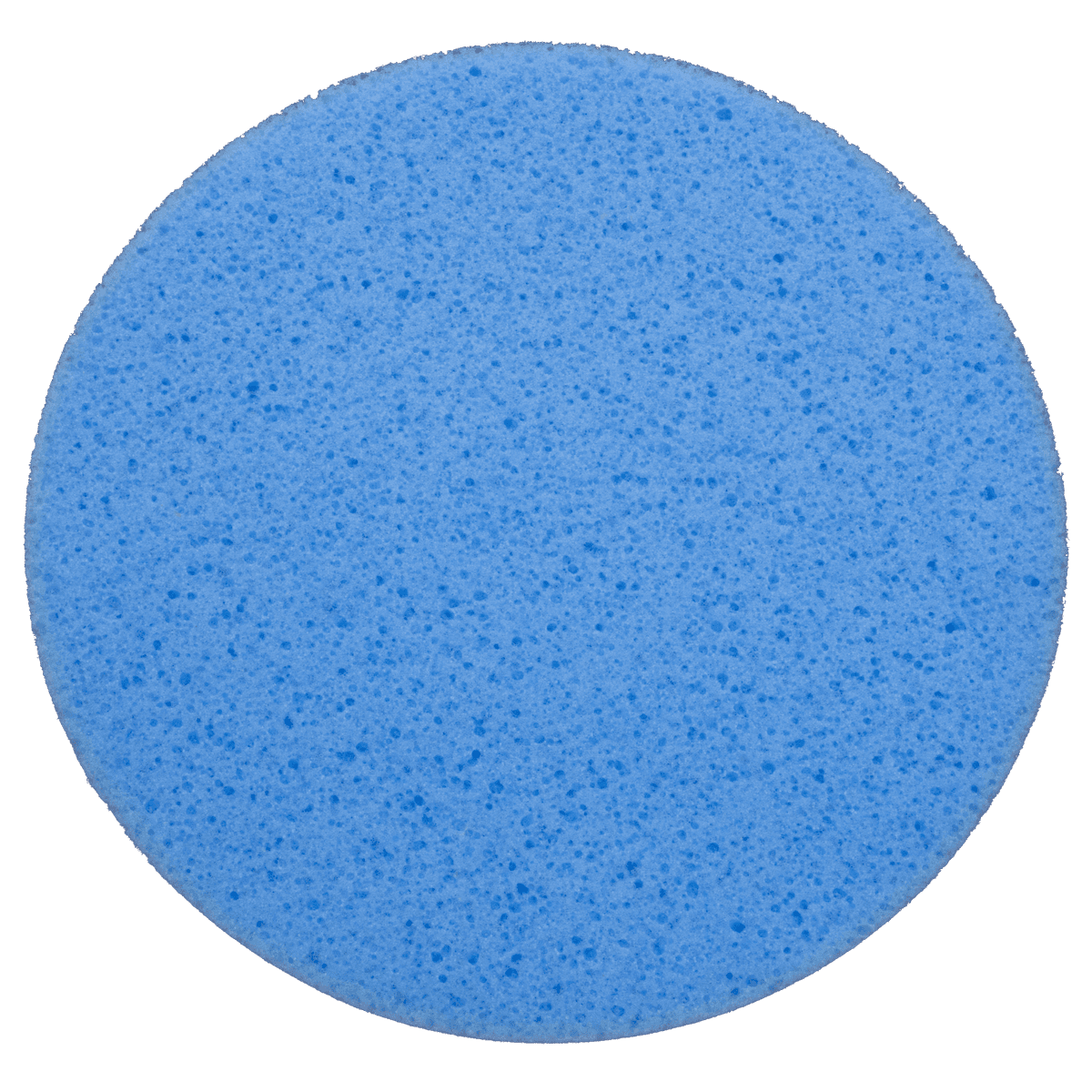 Velcro-backed sponge disc blue