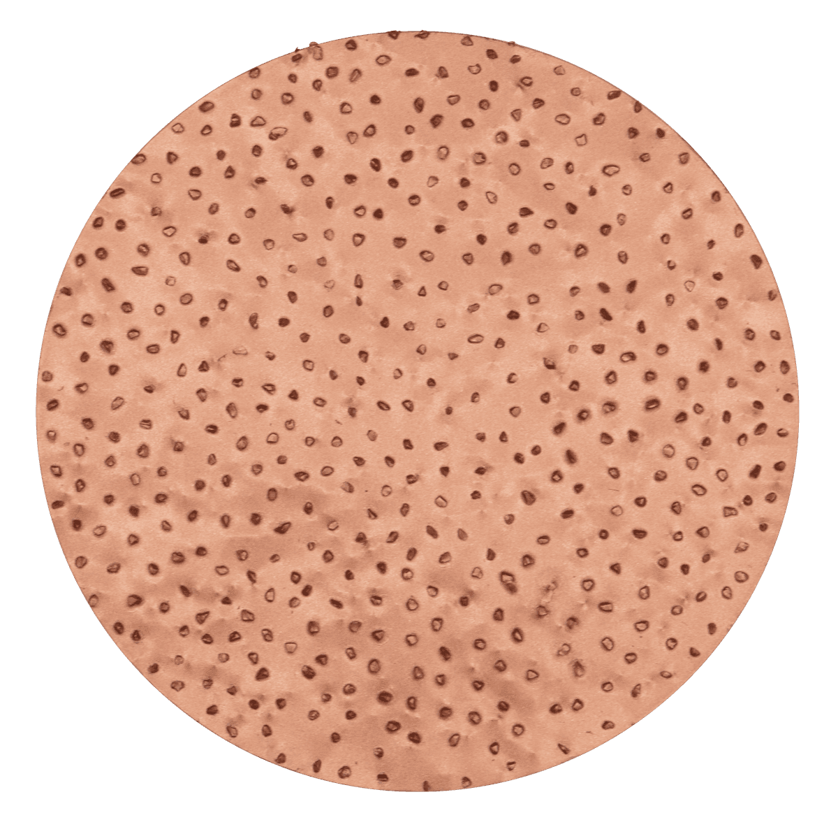 HMT grinding disc medium