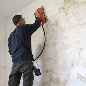 CAS_Chameleon CX Anwendung